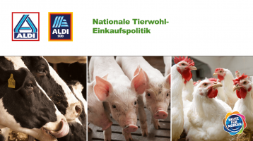 Aldi Nord & Süd: Gemeinsame Tierschutz-Einkaufspolitik