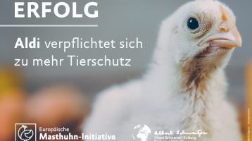 Erfolg: Aldi schließt sich Masthuhn-Initiative an