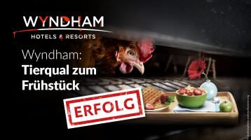 Wyndham serviert Käfigeier ab